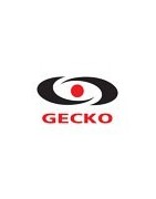 GECKO spas control system and pumps